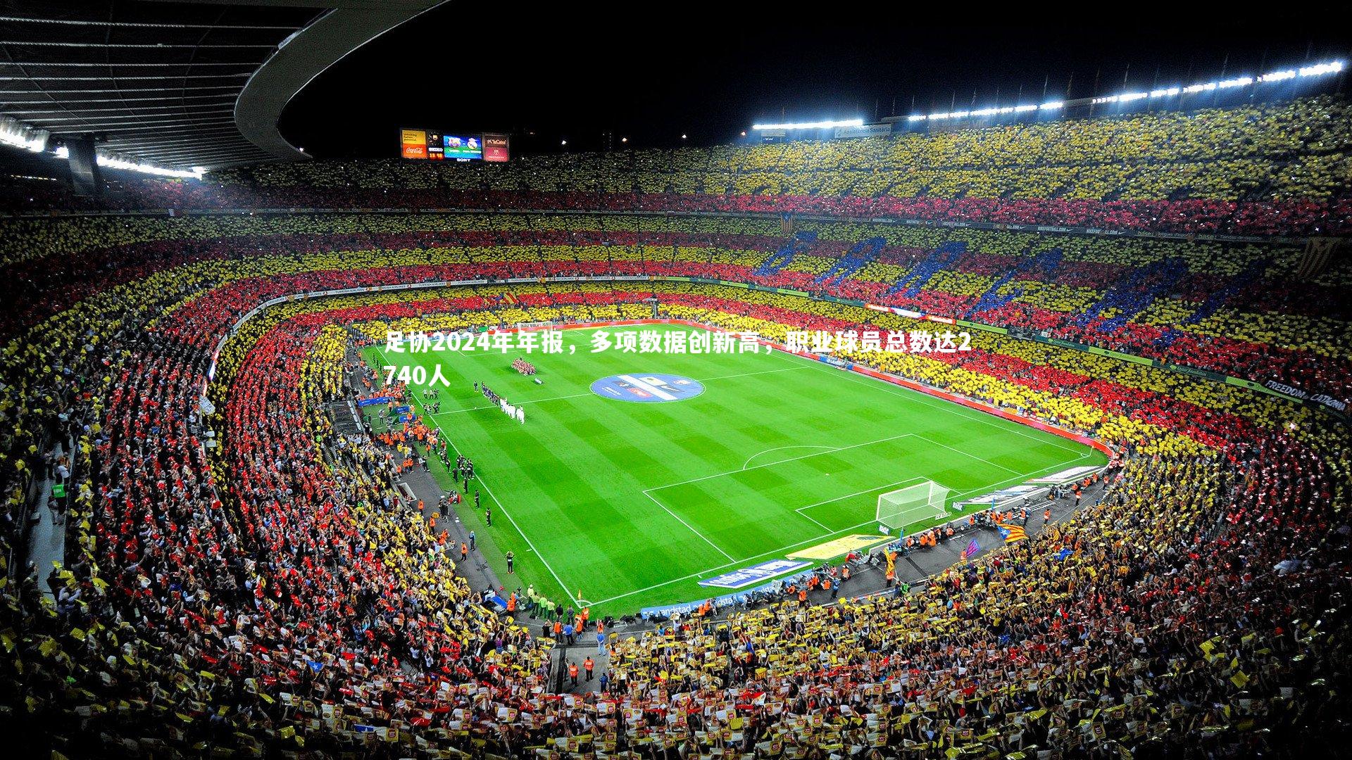 足协2024年年报，多项数据创新高，职业球员总数达2740人